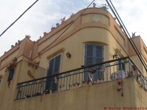 Ropštuoliai