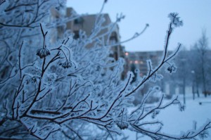 Frozen Šeškinė [click on the images to enlarge them]