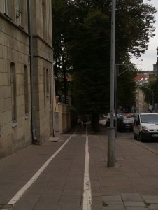 Bicycle path on Kalinausko str.