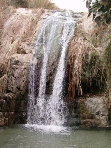 Ein Gedi waterfall