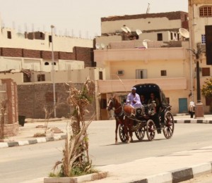 Carriage for tourists