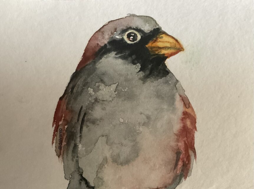Watercolour portrait of a male sparrow