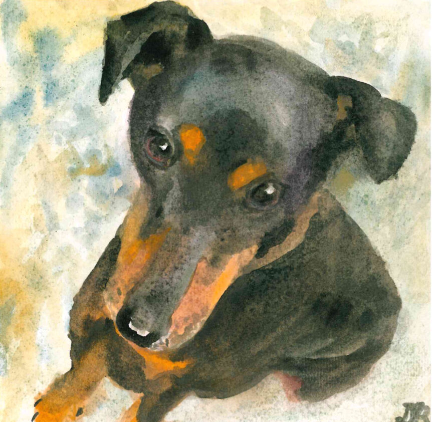 Watercolour painting of a puppy